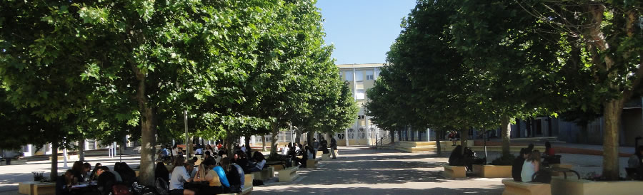 Cour du collège